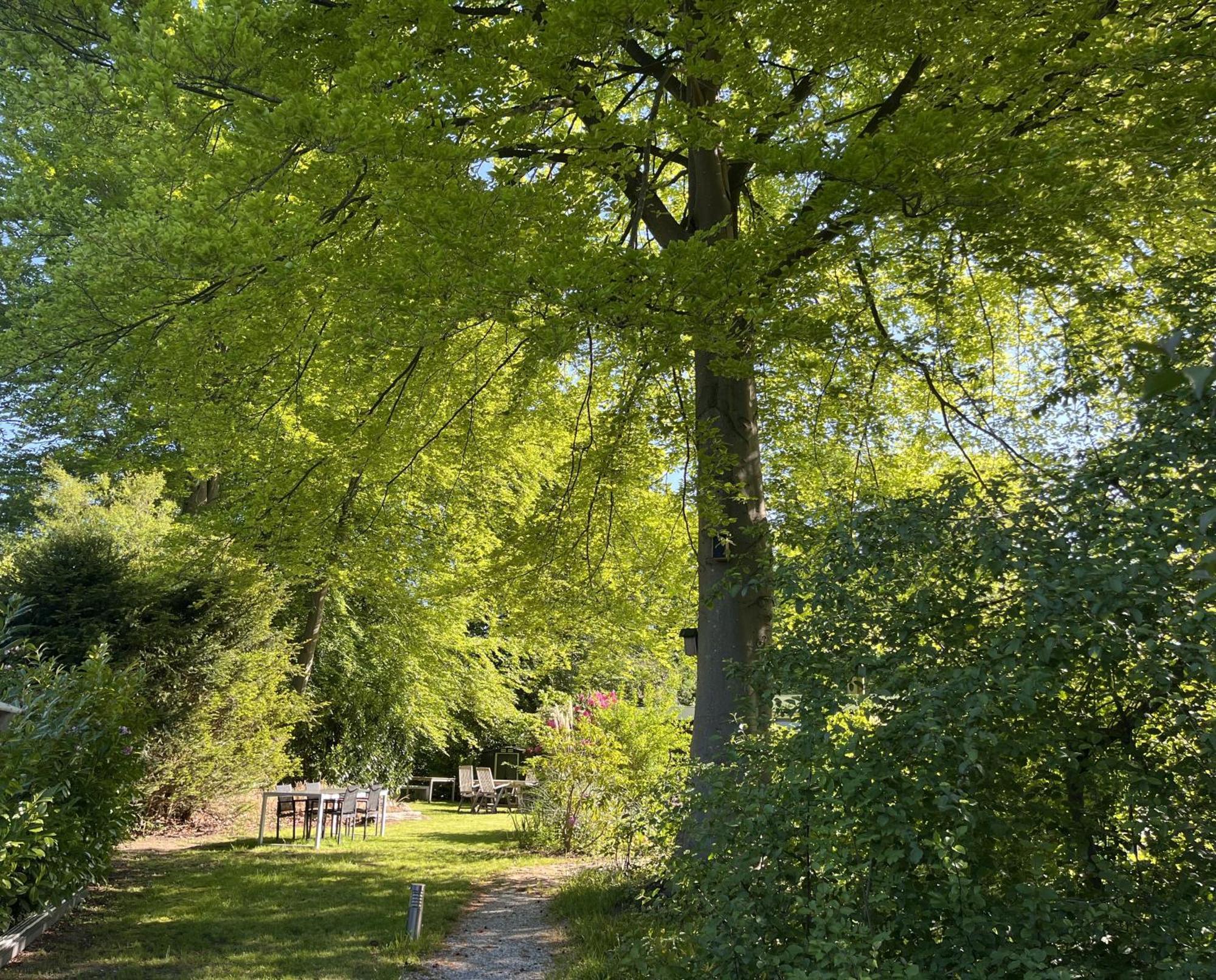 Bungalowpark De Bremerberg Biddinghuizen Quarto foto